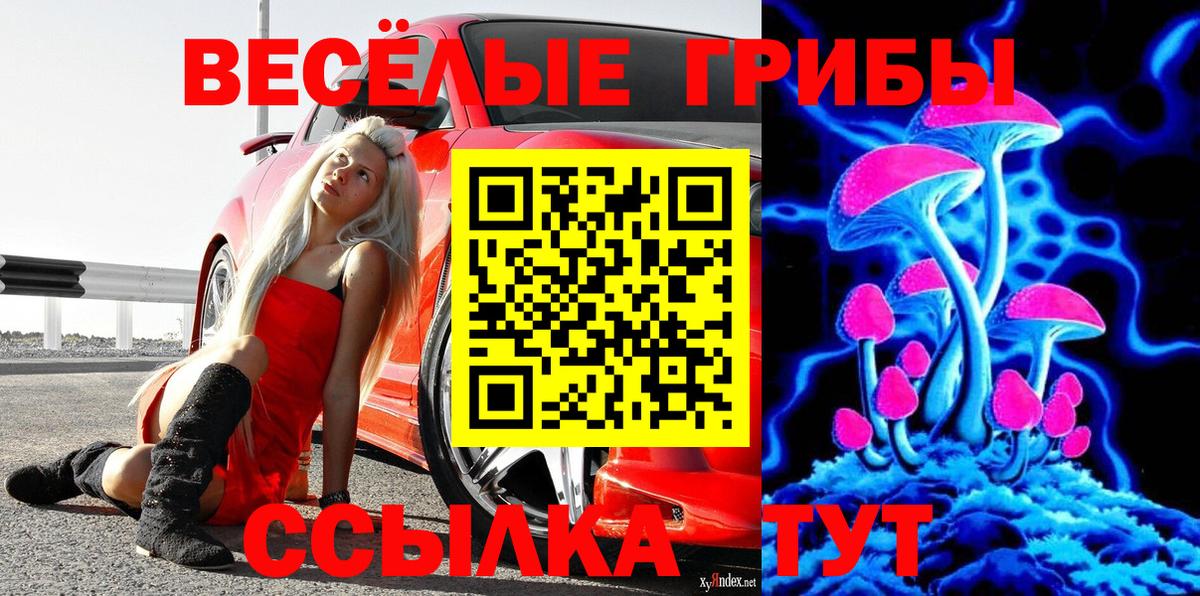 Псилоцибиновые грибы Cubensis  Вход с VPN  Лабинск 