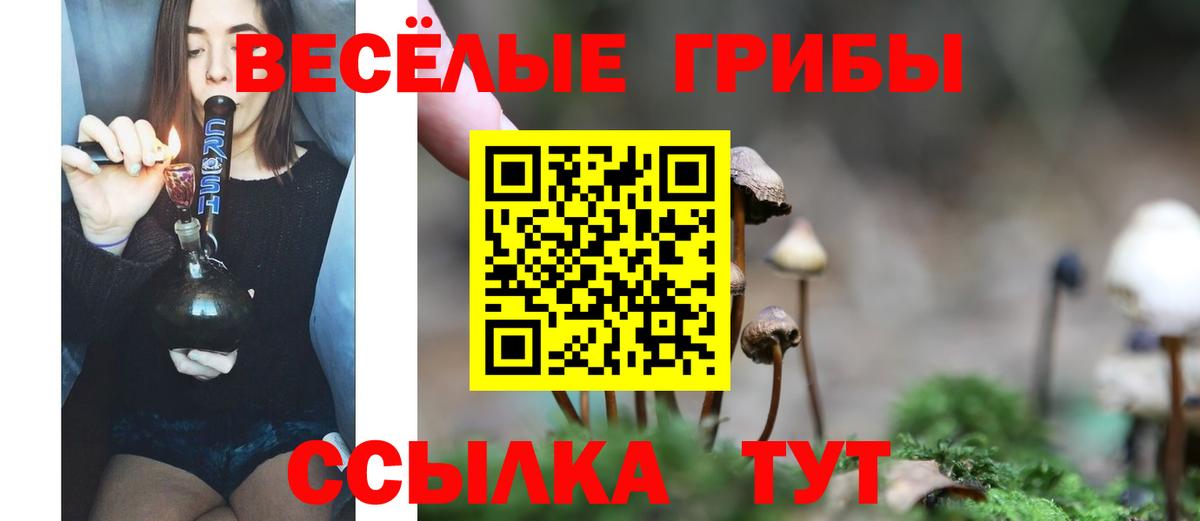 Псилоцибиновые грибы Magic Shrooms Лабинск
